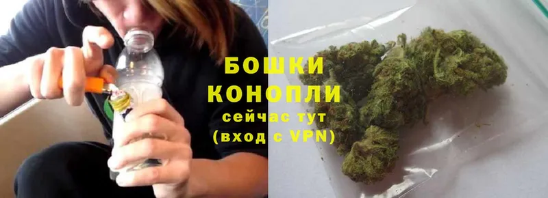 Марихуана Bruce Banner  наркота  даркнет наркотические препараты  Данков 